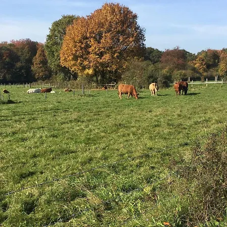Mit Terrasse In Waldbrunn-ellar Apartament