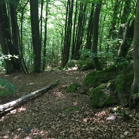 Flat With Terrace In The Westerwald