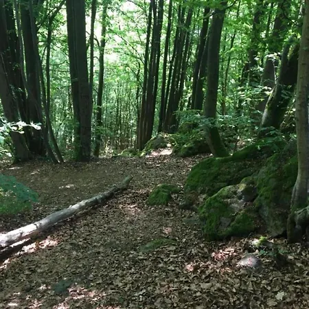 Apartament Mit Terrasse In Waldbrunn-ellar Ellar