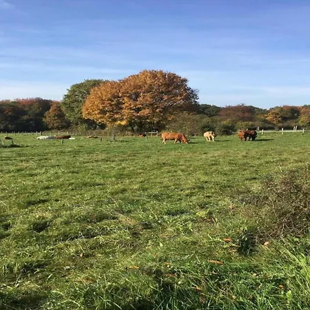Mit Terrasse In Waldbrunn-ellar * Ellar