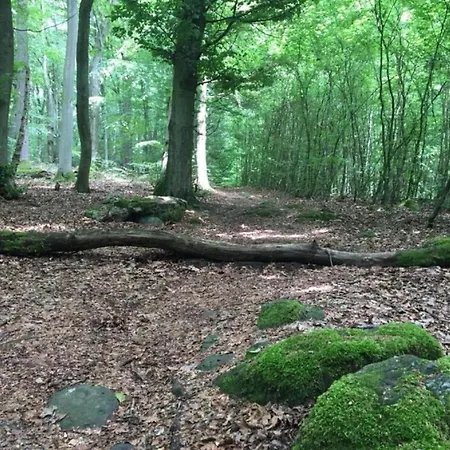 Flat With Terrace In The Westerwald Ellar
