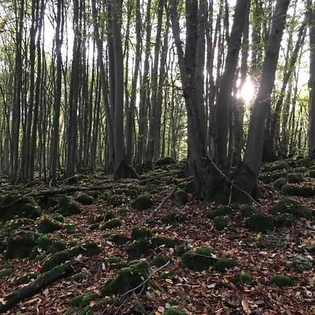 Apartament Mit Terrasse In Waldbrunn-ellar