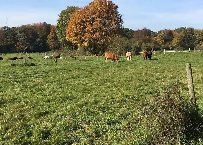 Mit Terrasse In Waldbrunn-ellar Apartamento