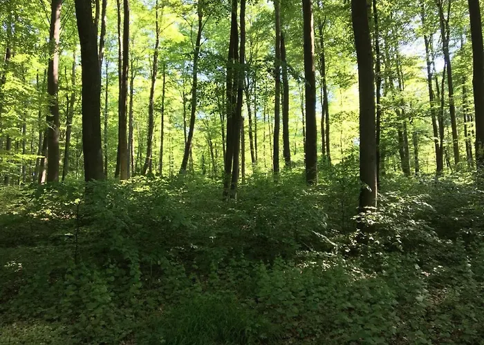 Apartamento Mit Terrasse In Waldbrunn-ellar *