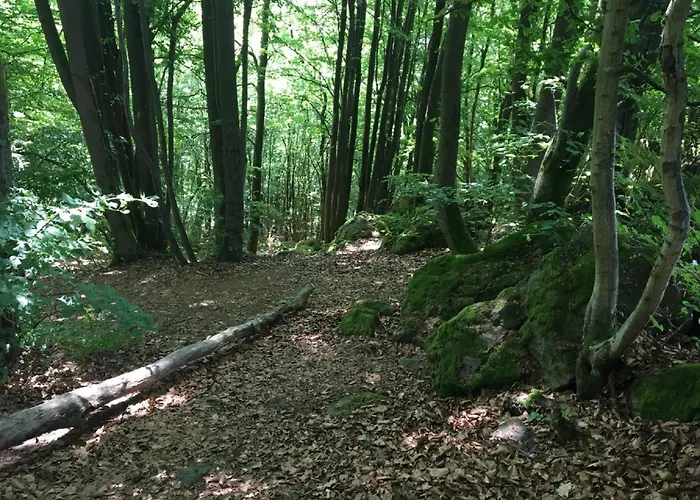 Mit Terrasse In Waldbrunn-ellar