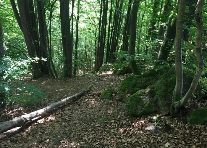 Apartamento Mit Terrasse In Waldbrunn-ellar Ellar