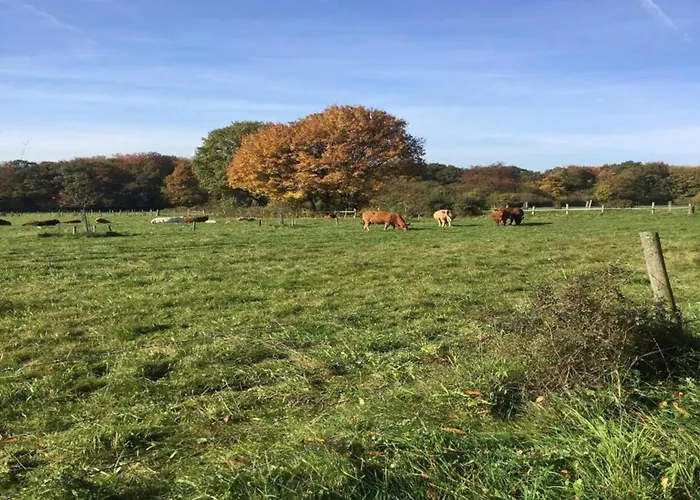 Mit Terrasse In Waldbrunn-ellar * Ellar
