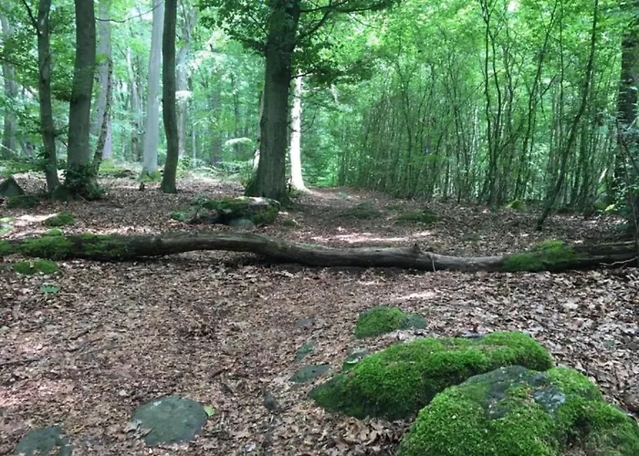 Mit Terrasse In Waldbrunn-ellar Ellar