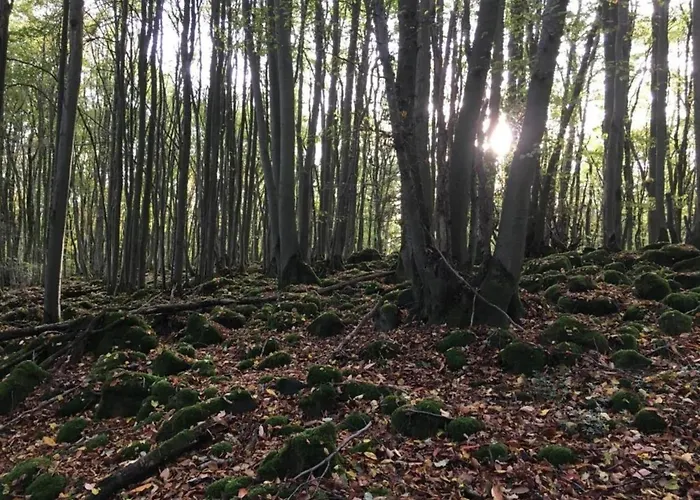 Apartamento Mit Terrasse In Waldbrunn-ellar